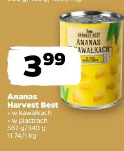 Netto Ananas Harvest Best (w kawałkach, w plastrach) oferta