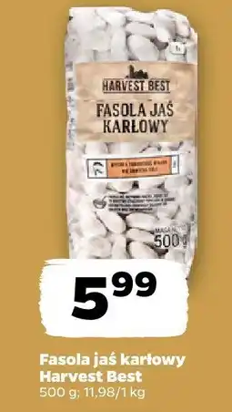 Netto Fasola jaś karłowy Harvest Best oferta