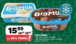 Netto Lody Algida Big Milk różne rodzaje, Big Milk Intense różne rodzaje oferta