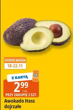 E.Leclerc Awokado Hass dojrzałe Leclerc oferta