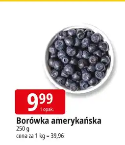 E.Leclerc Borówka amerykańska Leclerc oferta