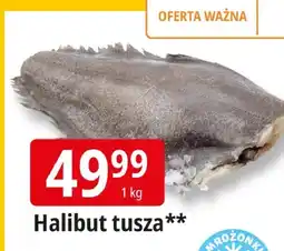 E.Leclerc Halibut tusza Leclerc oferta