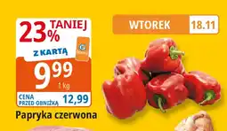 E.Leclerc Papryka czerwona Leclerc oferta