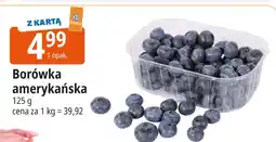 E.Leclerc Borówka amerykańska Leclerc oferta