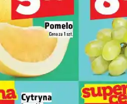 Topaz Bazylia oferta