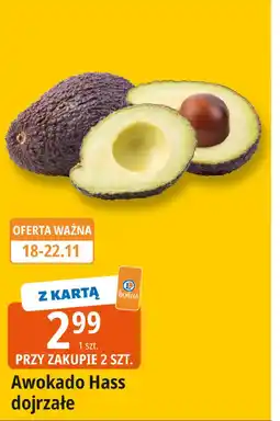 E.Leclerc Awokado hass oferta