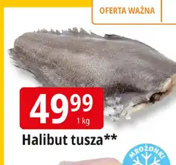 E.Leclerc Halibut tusza oferta