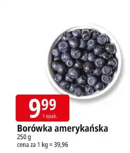 E.Leclerc Borówki amerykańskie oferta
