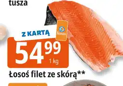 E.Leclerc Łosoś norweski filet ze skórą oferta