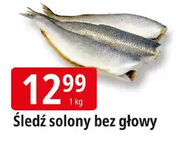 E.Leclerc Śledź solony bez głowy oferta