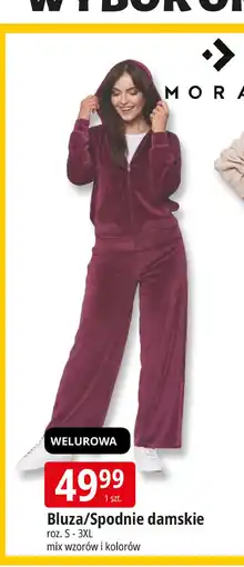 E.Leclerc Spodnie damskie Moraj oferta