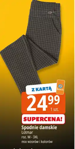 E.Leclerc Spodnie damskie m-3xl Lotmar oferta