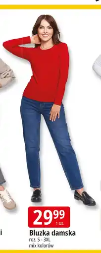 E.Leclerc Bluzka damska s-3xl oferta