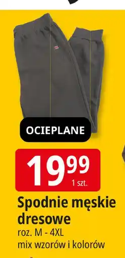 E.Leclerc Spodnie męskie dresowe oferta