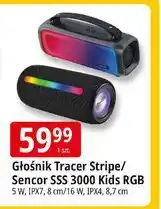 E.Leclerc Głośnik kids sss 3000 Sencor oferta