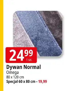 E.Leclerc Dywan specjal 60 x 80 cm Omega oferta
