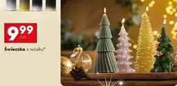 Biedronka Świeca oferta