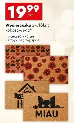 Biedronka Wycieraczka kokosowa 60 x 40 cm oferta