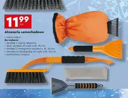 Biedronka Pochłaniacz wilgoci oferta