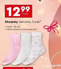 Biedronka Skarpetki damskie 35-38 Cleve oferta