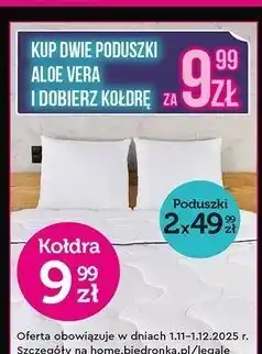 Biedronka Poduszka aloe vera 70 x 80 cm oferta