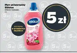 Netto Płyn do mycia kwiat japońskiej wiśni Sidolux Uniwersalny oferta
