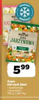 Netto Zupa jarzynowa Harvest Best oferta