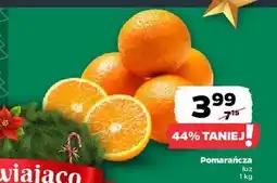 Netto Pomarańcze oferta