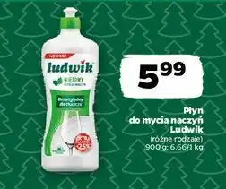 Netto Płyn do mycia naczyń miętowy Ludwik oferta