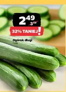 Netto Ogórek długi oferta