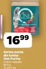 Netto Karma dla kota sterilcat wołowina i pszenica Purina One oferta