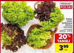 Carrefour Market Sałata karbowana zielona, czerwona Carrefour Market oferta