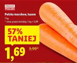 Lidl Polska marchew, luzem oferta