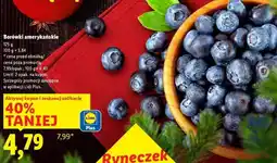 Lidl Borówki amerykańskie oferta