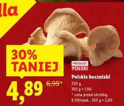 Lidl Polskie boczniaki oferta