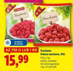 Lidl Freshona Owoce mrożone, XXL oferta