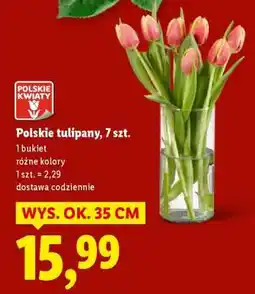 Lidl Polskie tulipany, 7 szt oferta
