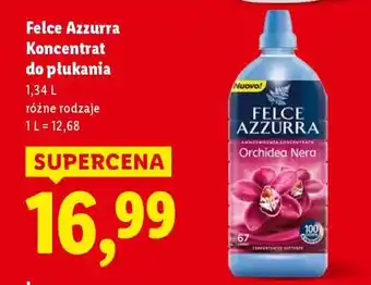 Lidl FELCE AZZURRA Koncentrat do płukania oferta