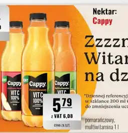Eurocash Nektar: Cappy oferta