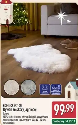 ALDI Dywan Home Creation oferta