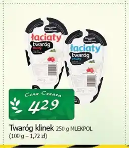 Cezar Delikatesy Twaróg Mlekpol oferta