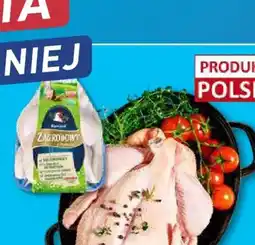 ALDI Zimowy płyn do spryskiwaczy oferta