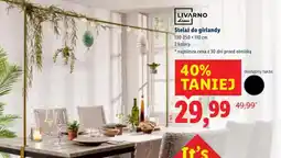 Lidl Stelaż do girlandy oferta