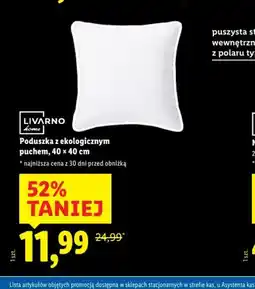 Lidl Poduszka z ekologicznym puchem oferta