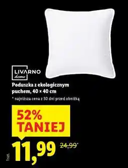 Lidl Poduszka z ekologicznym puchem, 40 x 40 cm oferta