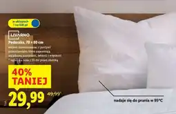 Lidl Poduszka 70 x 80 cm oferta