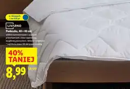 Lidl PODUSZKA 40 x 40 CM oferta