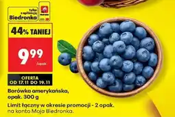 Biedronka Borówka amerykańska opak 300 g oferta