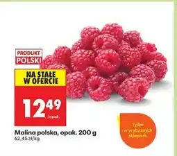 Biedronka Malina polska, opak. 200 g oferta