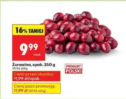 Biedronka Żurawina opak 250 g oferta